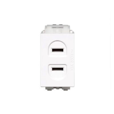 128型 二孔電源模塊 二孔插座 二插座強(qiáng)電模塊可配開關(guān)面板和地插 占1個(gè)模塊位